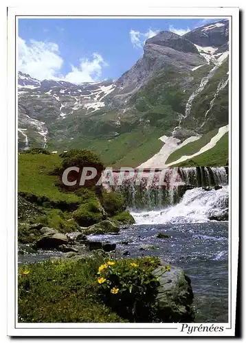 Cartes postales moderne Les Pyrenees Troumouse le Maillet