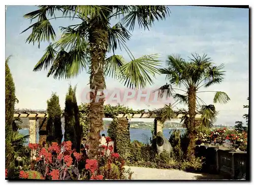 Cartes postales moderne Insel Mainau im Bodensee