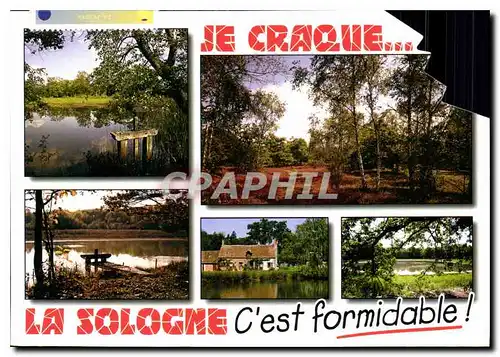Moderne Karte En Sologne