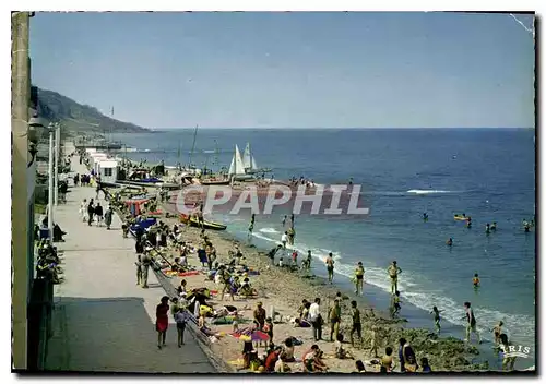 Cartes postales moderne Villers sur Mer la Promenade et la Plage Catamaran