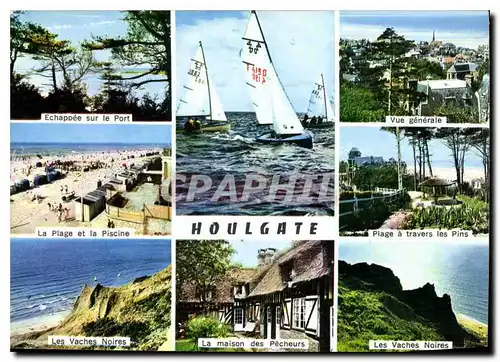 Cartes postales moderne La Cote Fleure Houlgate Calvados Bateau Piscine Vaches noires