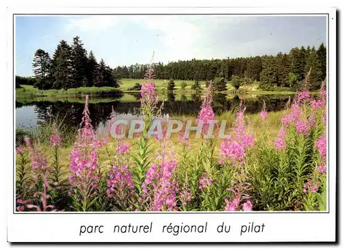 Moderne Karte parc Naturel Regional du Pilat