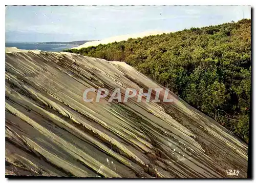 Cartes postales moderne Bassin d'Arcachon Au Pyla les Dunes les plus hautes d'Europe