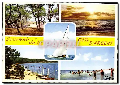 Cartes postales moderne Souvenir de la Cote d'Argent Bateau