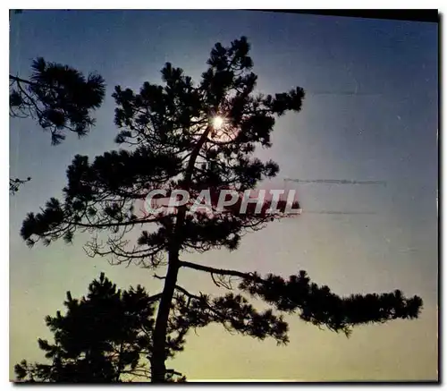 Moderne Karte Cote Atlantique la lune sortant des nuages noirs Semble une clarte qui vient par surprise