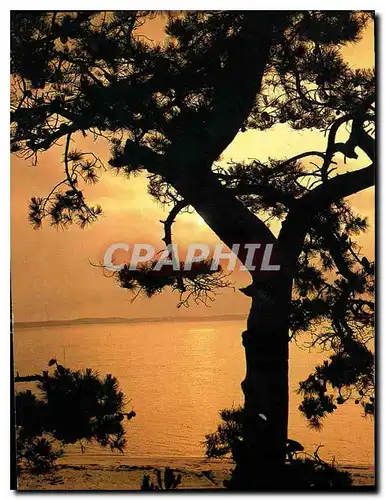 Moderne Karte Cote Aquitaine Bassin d'Arcachon Gironde Coucher de soleil sur le bassin