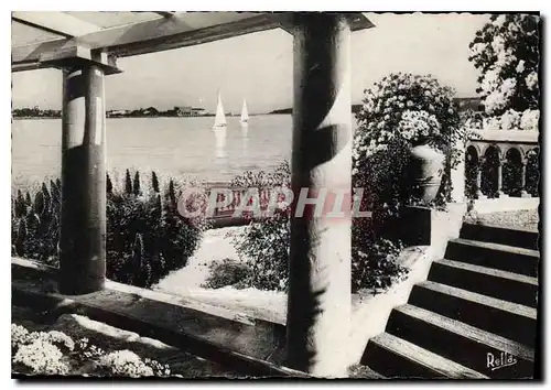 Cartes postales la Cote d'Azur Cannes Jardins fleuris et le Palm Beach