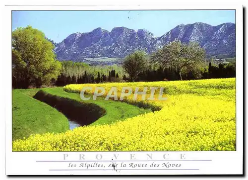 Ansichtskarte AK La Provence les Alpilles sur la Route des Noves