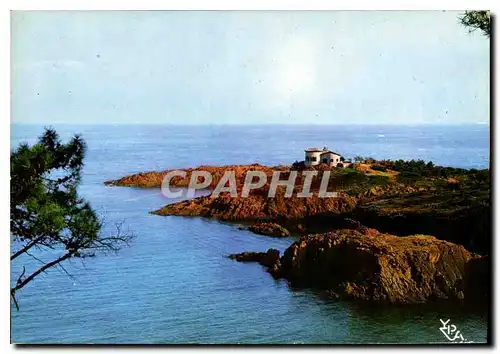 Ansichtskarte AK Au soleil de la Cote d'Azur les Calanques de l'Esterel les Roches rouges