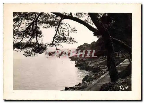 Cartes postales Les Bords de la Riviera Menton le Cap Martin