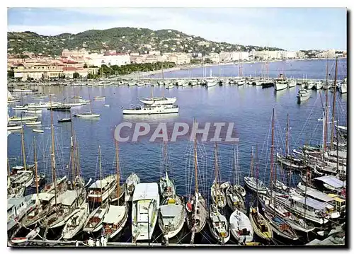 Cartes postales Cannes un coin du Port Dans le fond la Promenade de la Croisette Bateaux