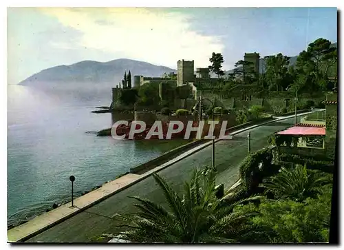 Cartes postales les Sites Merveilleux de la Cote d'Azur la Napoule A M le Chateau Ecossais au fond l'Esterel