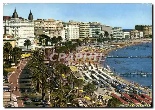 Cartes postales la Cote d'Azur Cannes les Palaces de la Croisette et la Plage