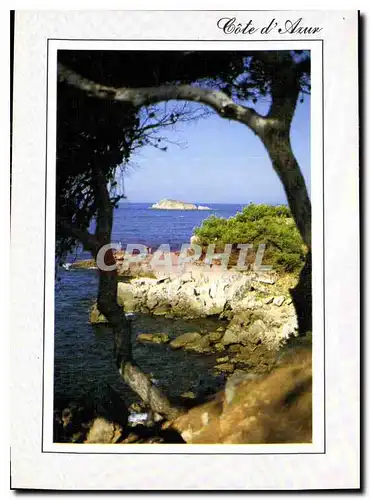 Cartes postales moderne la Cote d'Azur une calanque mediterraneenne abritee par les pins maritimes