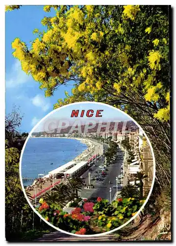 Cartes postales moderne La Cote d'Azur Nice la Promenade des Anglais