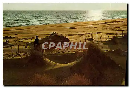 Moderne Karte Contre jour et cavalier dans les dunes Cheval