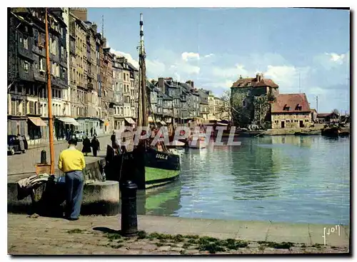 Cartes postales moderne Couleurs et Lumiere de France la luxuriante Normandie Honfleur Calvados Bassin de l'Ouest et qua