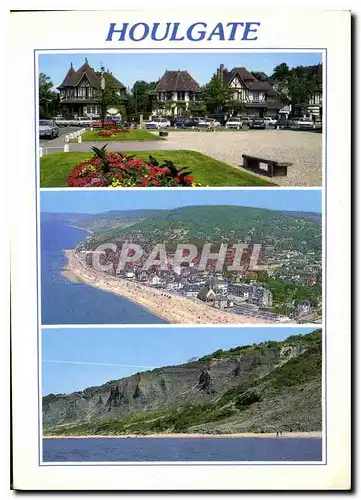 Moderne Karte La Cote Fleurie Houlgate Calvados Perle de la Cote Fleurie Maisons Normandes Vue generale la Pla