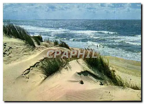 Cartes postales moderne Souvenir de la Cote de Normande