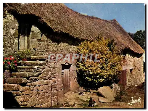 Cartes postales moderne Couleurs de Bretagne Vieille Chaumiere