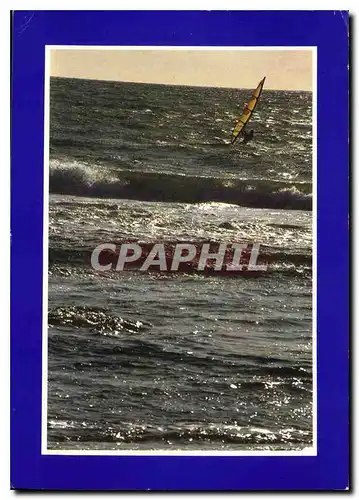 Cartes postales moderne Planche a voile