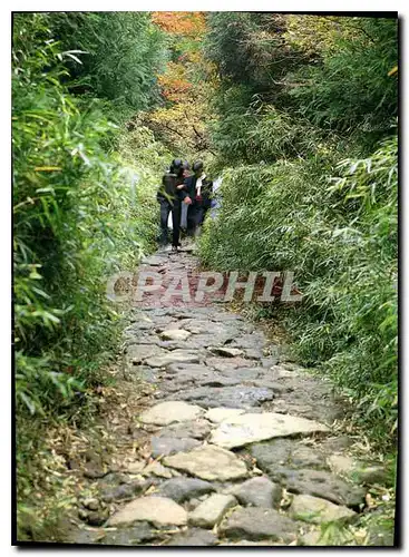 Cartes postales moderne Former rodd National Park Hakone