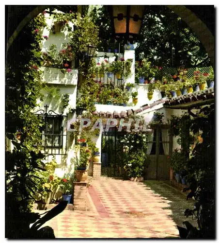 Cartes postales moderne Espana Es Diferente Tipico Patio Andaluz