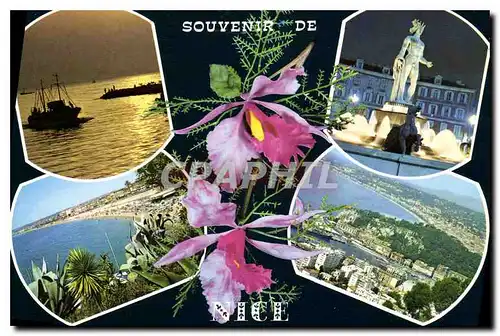 Cartes postales moderne Souvenir de Nice