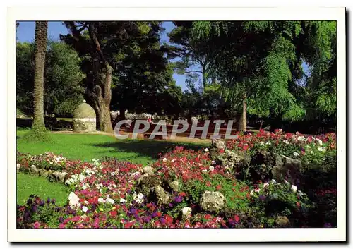 Moderne Karte Nice Le Jardins du Chateau