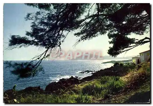 Cartes postales moderne Reflets de la Cote d'Azur Corniche d'Or Jeux de lumiere sur le Dramont