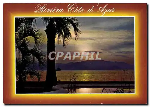 Cartes postales moderne Riviera Cote d'Azur