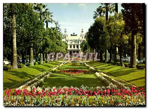 Cartes postales moderne La Cote d'Azur Miracle de la Nature Monte Carlo Jardins du Casino