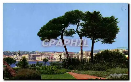 Moderne Karte Cannes Vue generale prise depuis les Jardins du Palm Beach