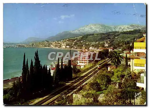 Cartes postales moderne La Cote d'Azur Miracle de la Nature Menton Alpes Maritimes Vue generale sur la Chaine des Alpes