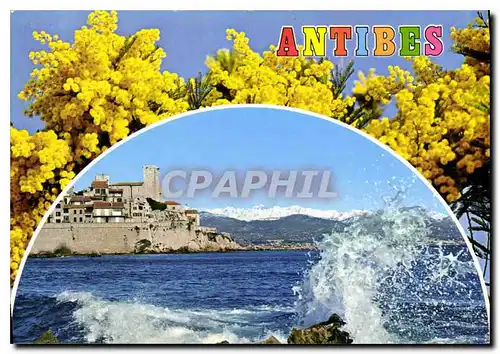 Cartes postales moderne Cote d'Azur Antibes Alpes Maritimes Les Remparts et les Alpes enneigees