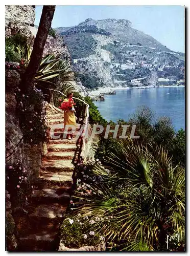 Cartes postales moderne La Cote d'Azur Miracle de la Nature