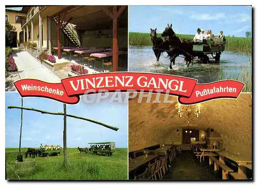 Cartes postales moderne Weinschenke Vinzenz Gangl Illmitz Burgenland Austria
