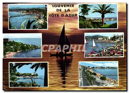 Cartes postales moderne Souvenir de la Cote d'Azur