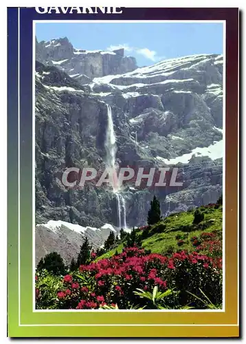 Cartes postales moderne Gavarnie Rhododendrons et Cascade du Cirque