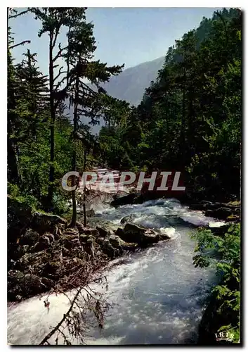 Cartes postales moderne Les Pyrenees Symphonie en vert et bleu Un Gave Pyreneen