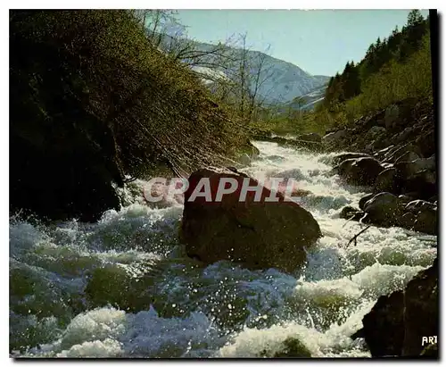 Cartes postales moderne Les Pyrenees Le Torrent Impetueux