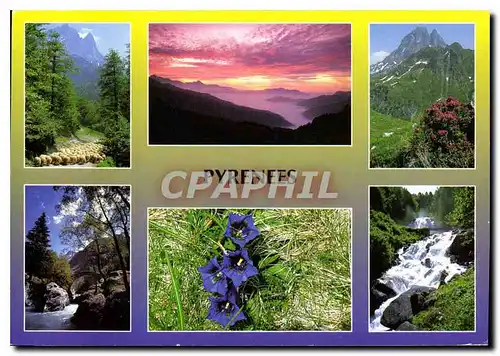 Cartes postales moderne Les Pyrenees