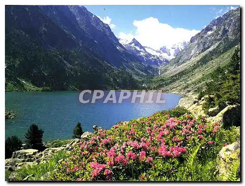 Cartes postales moderne En Parcourant les Pyrenees Lac de Gaube