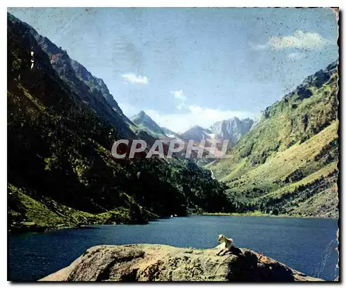 Cartes postales moderne Les Pyrenees Le Lac de Gaube domine par le Vignemale