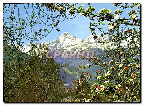 Cartes postales moderne Sites Pyrenees Le Massif du Montvalier