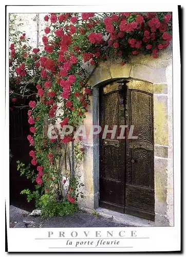 Cartes postales moderne Provence la Porte Fleurie