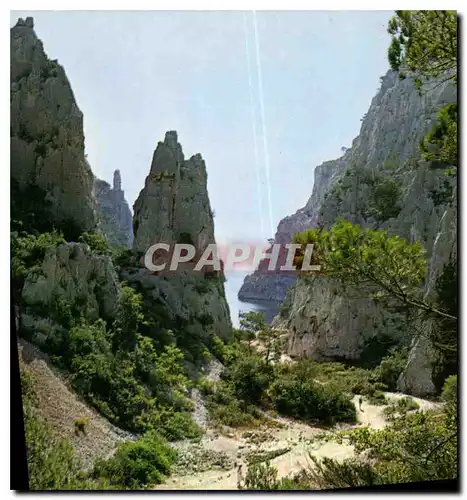 Cartes postales moderne Nos Belles Calanques En Cau et san aiguille