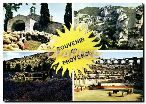 Cartes postales moderne Souvenir de Provence Taureau Corrida
