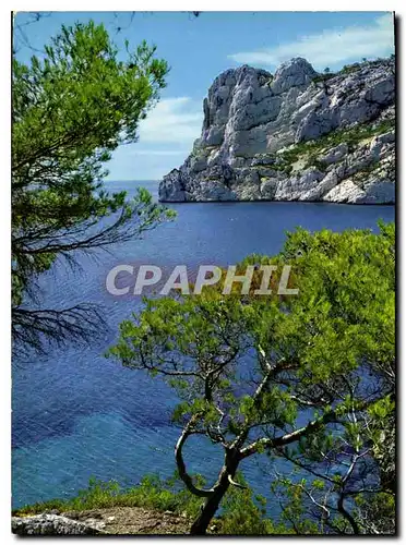 Cartes postales moderne Marseille Nos Belles Calanques La Pointe et Cap Redon