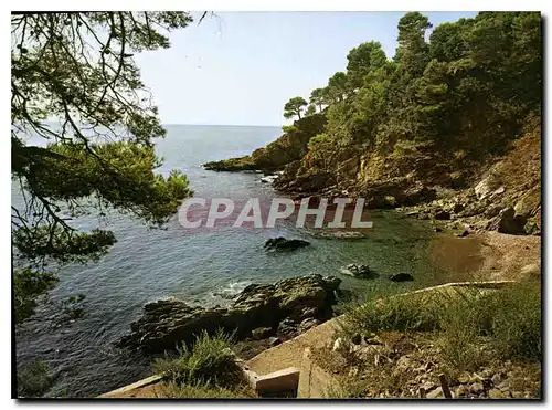 Cartes postales moderne Mediterranee aux Rivages sans nuage Calanque aux reflets d'Or